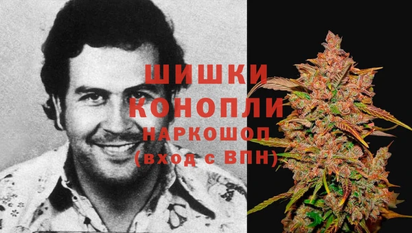 МДПВ Козельск