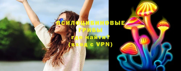 МДПВ Козельск
