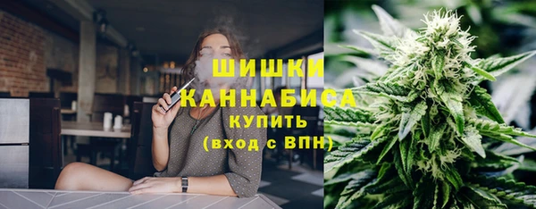 МДПВ Козельск