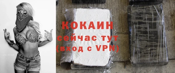 МДПВ Козельск