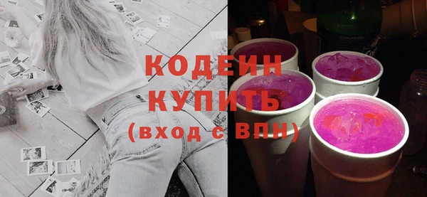 ГАЛЛЮЦИНОГЕННЫЕ ГРИБЫ Кодинск