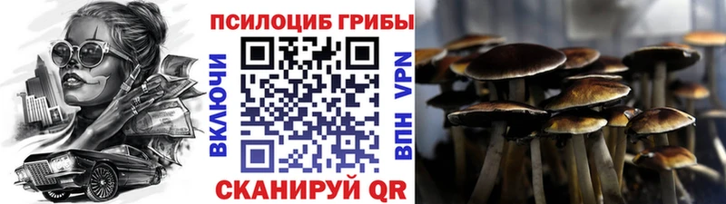 купить закладку  сайты даркнета как зайти  Псилоцибиновые грибы GOLDEN TEACHER  Магадан 